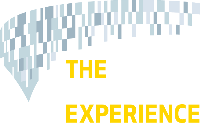 The Tottenham Experience